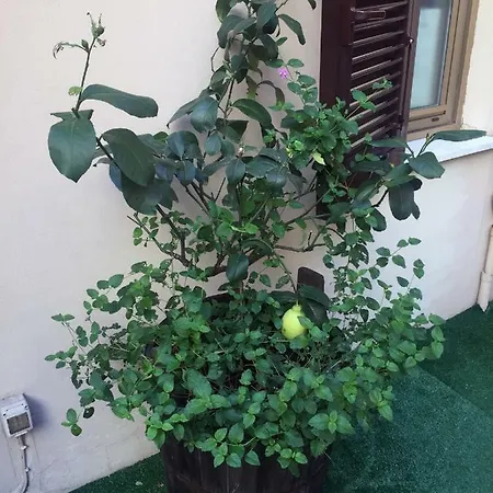 Con Terrazza Appartement